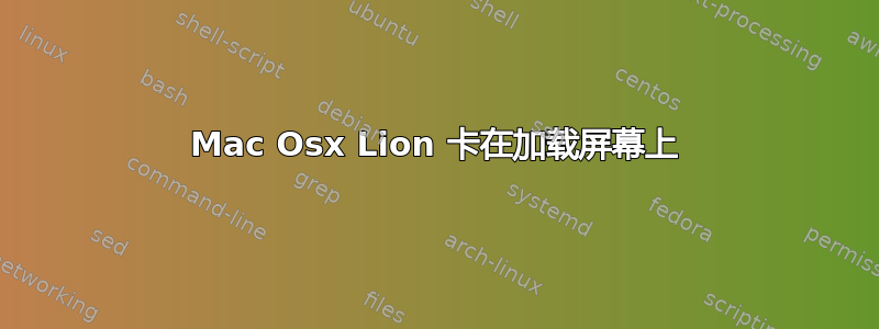 Mac Osx Lion 卡在加载屏幕上