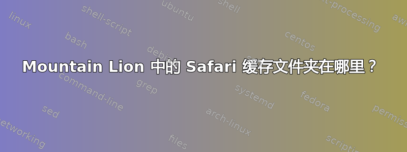 Mountain Lion 中的 Safari 缓存文件夹在哪里？