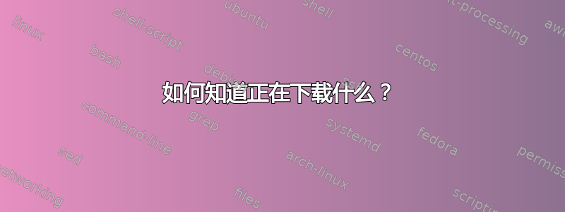 如何知道正在下载什么？