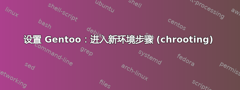 设置 Gentoo：进入新环境步骤 (chrooting)