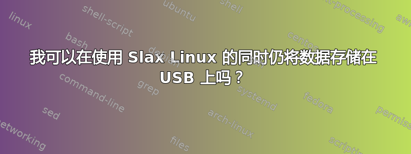 我可以在使用 Slax Linux 的同时仍将数据存储在 USB 上吗？