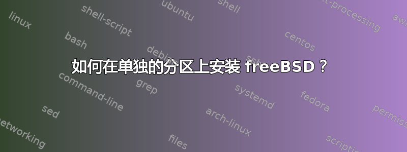 如何在单独的分区上安装 freeBSD？