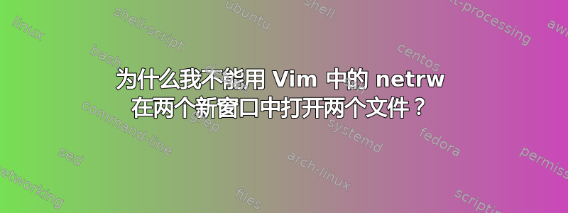 为什么我不能用 Vim 中的 netrw 在两个新窗口中打开两个文件？