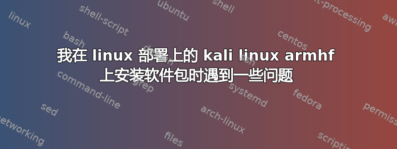 我在 linux 部署上的 kali linux armhf 上安装软件包时遇到一些问题