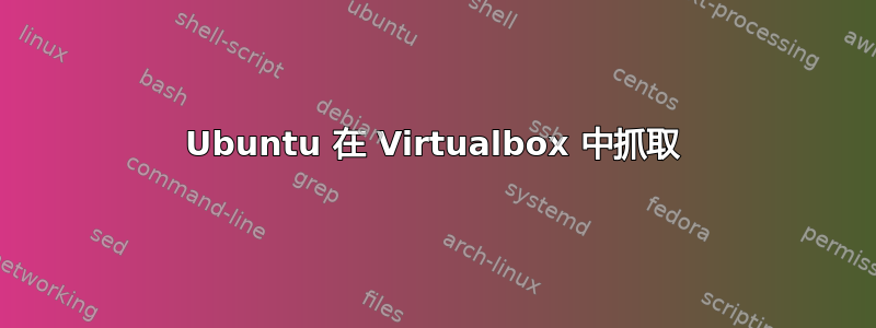 Ubuntu 在 Virtualbox 中抓取