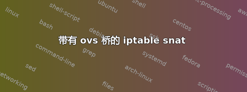 带有 ovs 桥的 iptable snat