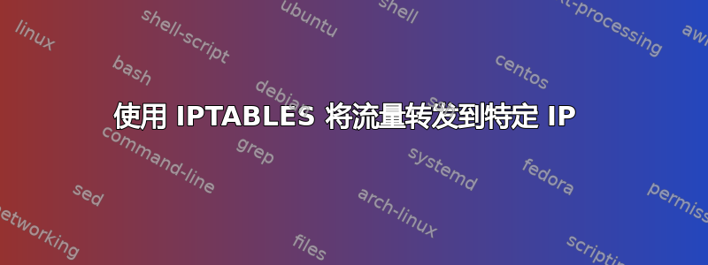 使用 IPTABLES 将流量转发到特定 IP 