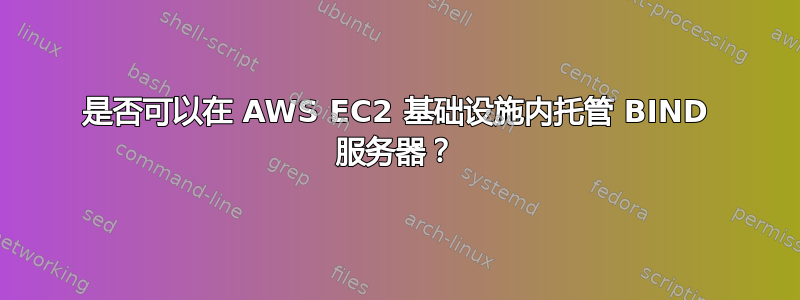 是否可以在 AWS EC2 基础设施内托管 BIND 服务器？