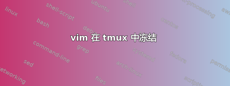 vim 在 tmux 中冻结