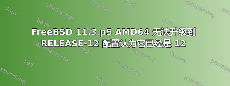 FreeBSD 11.3 p5 AMD64 无法升级到 RELEASE-12 配置认为它已经是 12