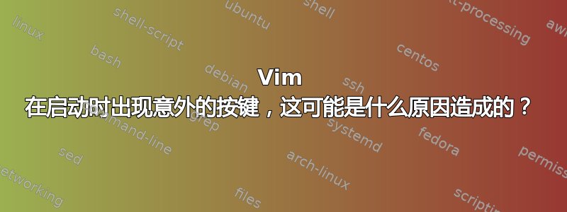 Vim 在启动时出现意外的按键，这可能是什么原因造成的？