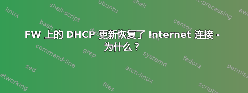 FW 上的 DHCP 更新恢复了 Internet 连接 - 为什么？