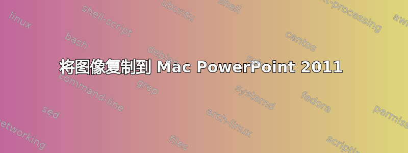 将图像复制到 Mac PowerPoint 2011