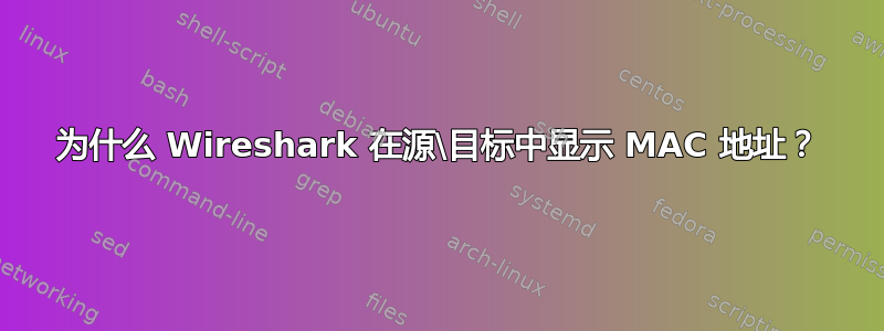 为什么 Wireshark 在源\目标中显示 MAC 地址？