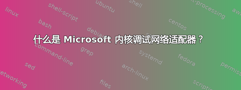 什么是 Microsoft 内核调试网络适配器？