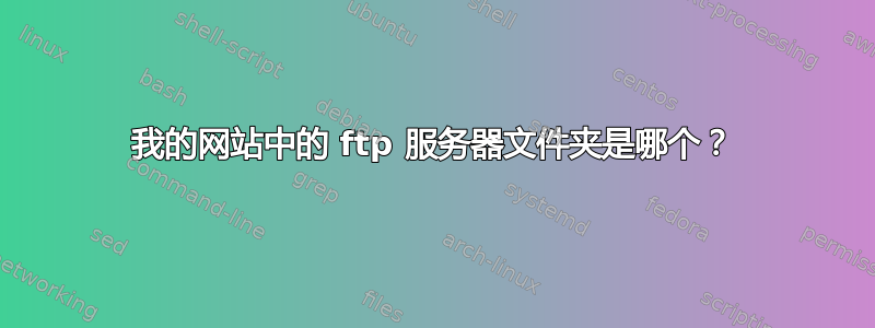 我的网站中的 ftp 服务器文件夹是哪个？