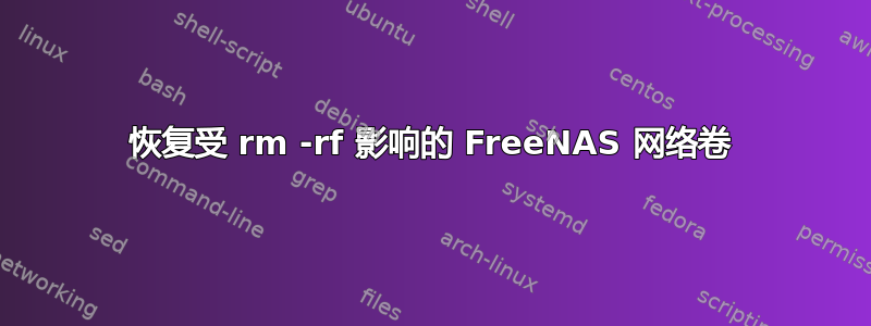 恢复受 rm -rf 影响的 FreeNAS 网络卷