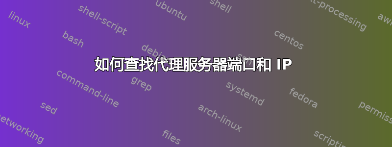 如何查找代理服务器端口和 IP