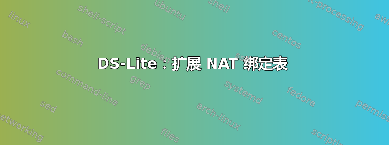 DS-Lite：扩展 NAT 绑定表