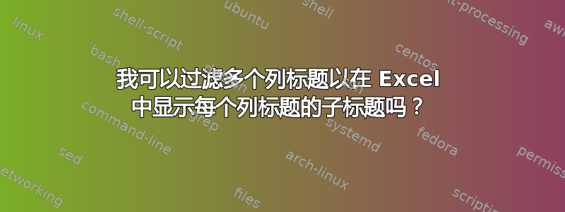 我可以过滤多个列标题以在 Excel 中显示每个列标题的子标题吗？