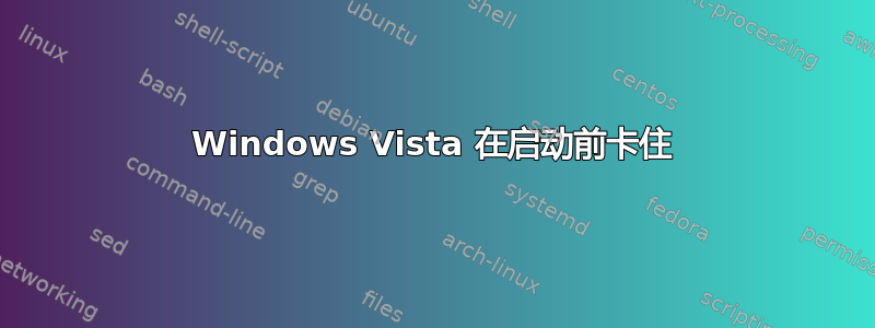 Windows Vista 在启动前卡住