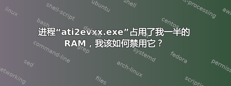 进程“ati2evxx.exe”占用了我一半的 RAM，我该如何禁用它？