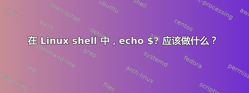 在 Linux shell 中，echo $? 应该做什么？