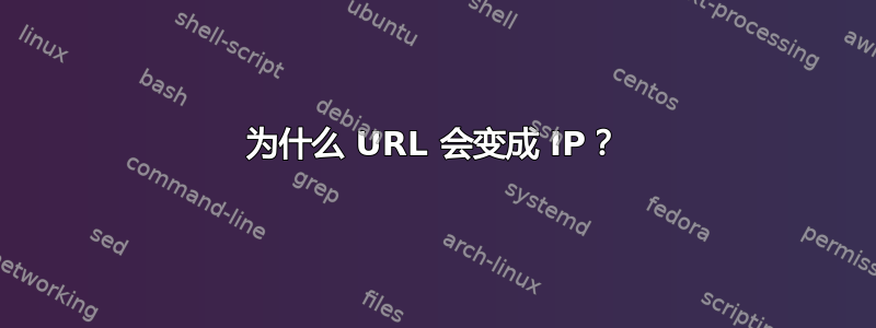 为什么 URL 会变成 IP？