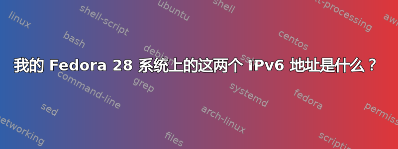 我的 Fedora 28 系统上的这两个 IPv6 地址是什么？