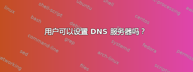 用户可以设置 DNS 服务器吗？