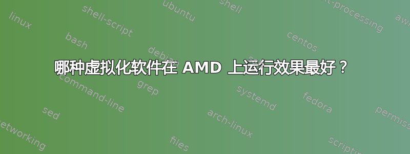 哪种虚拟化软件在 AMD 上运行效果最好？