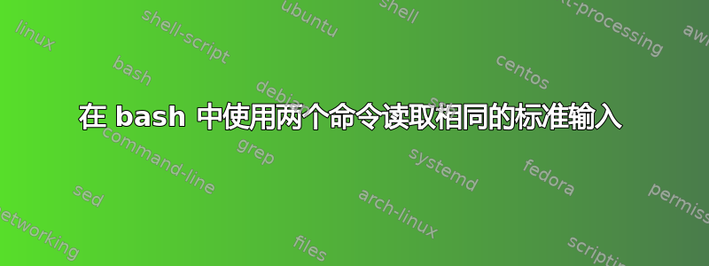 在 bash 中使用两个命令读取相同的标准输入