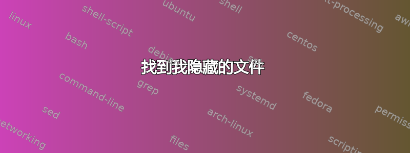 找到我隐藏的文件