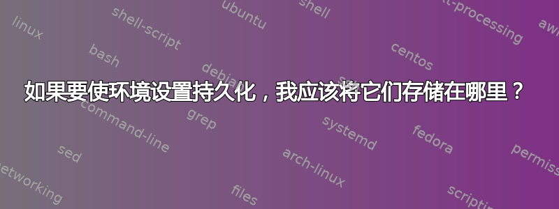 如果要使环境设置持久化，我应该将它们存储在哪里？