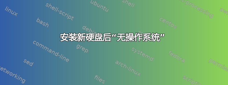 安装新硬盘后“无操作系统”