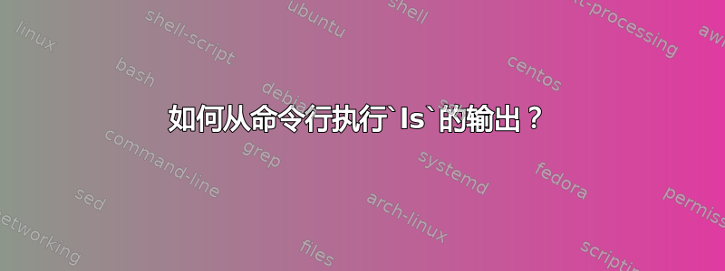 如何从命令行执行`ls`的输出？