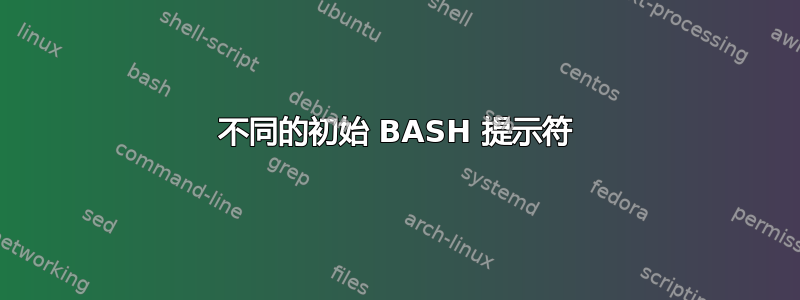 不同的初始 BASH 提示符