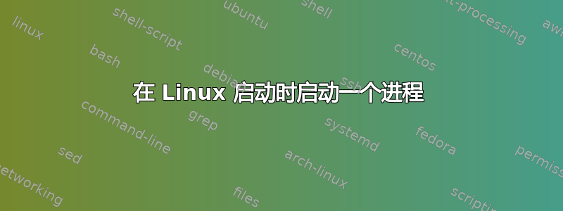 在 Linux 启动时启动一个进程