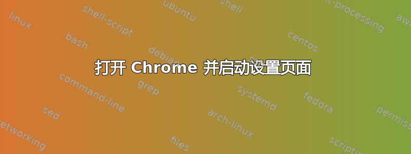 打开 Chrome 并启动设置页面