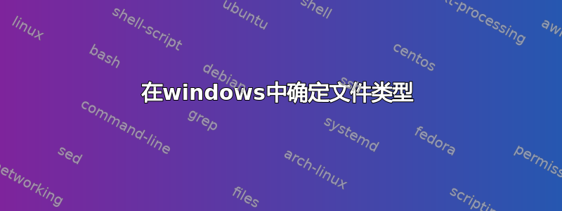 在windows中确定文件类型