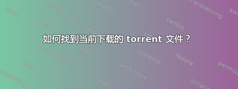 如何找到当前下载的 torrent 文件？