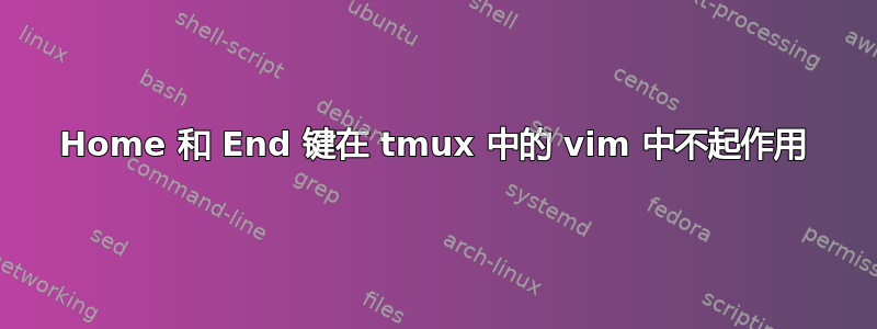 Home 和 End 键在 tmux 中的 vim 中不起作用