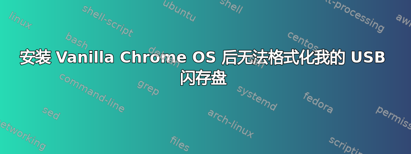 安装 Vanilla Chrome OS 后无法格式化我的 USB 闪存盘