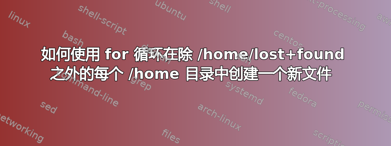 如何使用 for 循环在除 /home/lost+found 之外的每个 /home 目录中创建一个新文件 