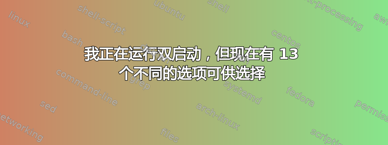 我正在运行双启动，但现在有 13 个不同的选项可供选择