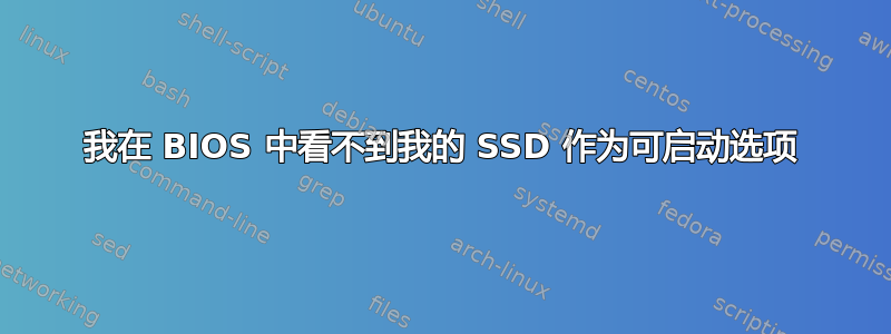 我在 BIOS 中看不到我的 SSD 作为可启动选项