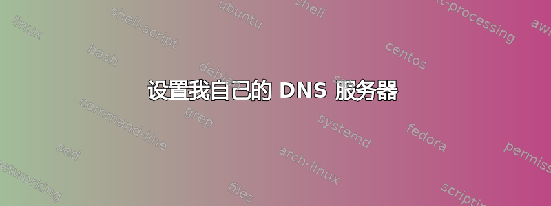 设置我自己的 DNS 服务器