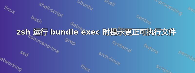 zsh 运行 bundle exec 时提示更正可执行文件