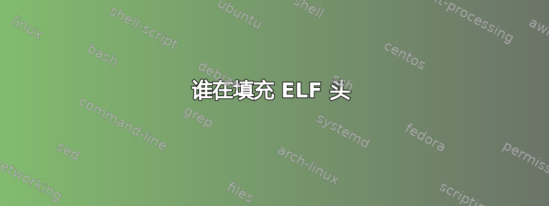 谁在填充 ELF 头