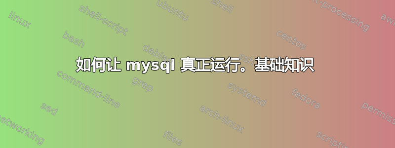 如何让 mysql 真正运行。基础知识